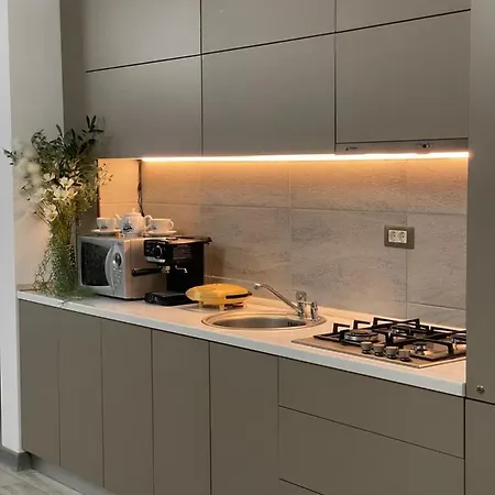 公寓 Mamaia Nord -