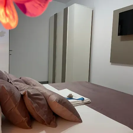 Mamaia Nord - * Navodari